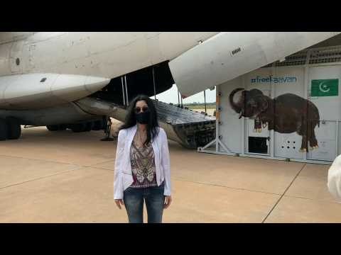Cher 'happy and proud' for Kaavan the elephant's arrival in Cambodia