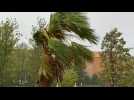 Louisiana storm as Hurricane Delta approaches coast