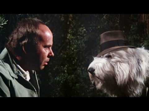 Un candidat au poil - Bande annonce 2 - VO - (1976)