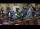 DR Congo's Senate elects new leader