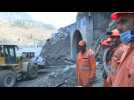 India glacier disaster: Sniffer dogs being used to help find survivors