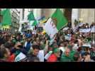 Algerians protest for a tenth consecutive Friday
