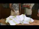 Vote counting starts in Mali amid coronavirus and security fears