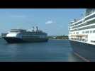 Virus-hit cruise ship Rotterdam arrives in Florida port