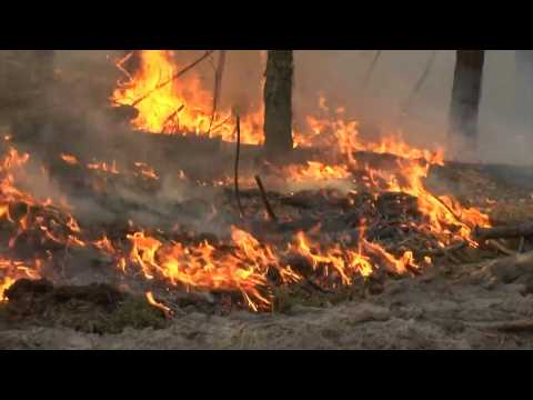 Forest fire intensifies in Chernobyl nuclear zone