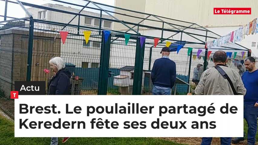 Keredern Quatre Poules Sous Une Tour Brest Letelegrammefr