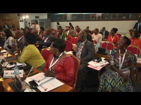 African Union member states gather in Niamey to talk free-trade deal