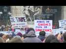 Thousands march in Paris to condemn violence against women