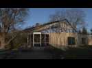 Dozens of monkeys die in German zoo fire