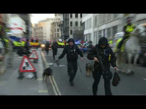Officers and police dogs at London Bridge after stabbing