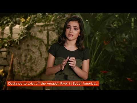 Dora &amp; The Lost City of Gold | Download &amp; Keep now | Paramount Pictures UK