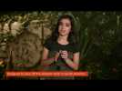 Dora &amp; The Lost City of Gold | Download &amp; Keep now | Paramount Pictures UK