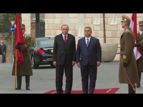Hungarian Prime Minister Viktor Orban welcomes Recep Tayyip Erdogan in Budapest 