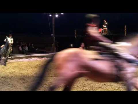 L'ombre du zèbre, nouveau spectacle du cirque équestre Pagnozoo au Haras National de Besançon