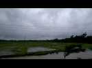 Super cyclone: strong winds in Midnapore, India