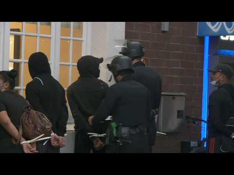 US: Police make arrests in Santa Monica