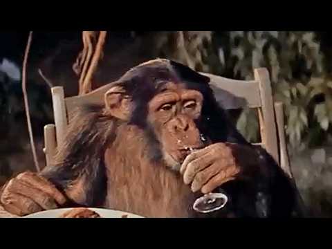 Cinq semaines en ballon - Bande annonce 1 - VO - (1963)