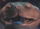 John Carter - Extrait 4 - VO - (2012)