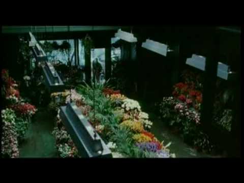 The Hours - Extrait 2 - VO - (2002)
