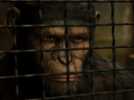 La Planète des singes : les origines - Extrait 10 - VO - (2011)