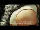 Avant la nuit - Extrait 5 - VO - (2000)