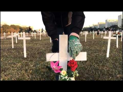 Brasilia: 1,000 crosses honour COVID-19 victims in virus-hit Brazil