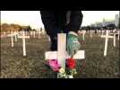 Brasilia: 1,000 crosses honour COVID-19 victims in virus-hit Brazil