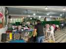 Polls open in Singapore general elections