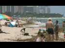 People enjoy a sunny day at the beach as Miami Beach reopens