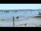 Beach-goers bask in the sun on France's Atlantic coast
