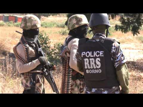 Niger says 75 'Boko Haram terrorists' killed
