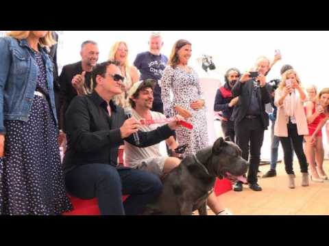 Tarantino accepts 'Palm Dog' for 'Once Upon a Time...' canine