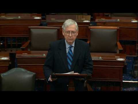 Trump 'provoked' Capitol mob says Republican Senate leader McConnell