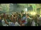 Palmeiras fans celebrate late winner in Copa Libertadores final