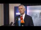 Bakhmut may fall 'in coming days': NATO chief