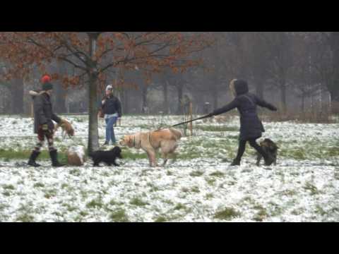 London wakes up to rare March snow