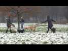 London wakes up to rare March snow