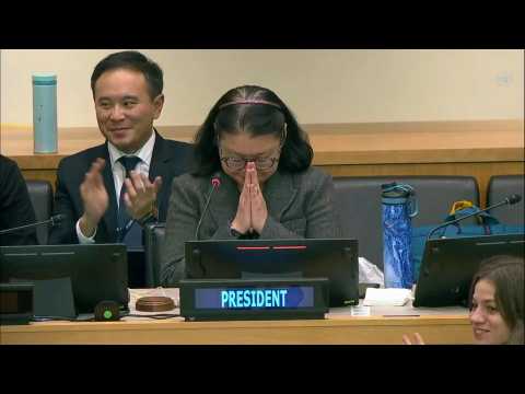 UN states agree 'historic' deal to protect high seas
