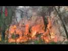 Spain firefighters make progress in battling first major wildfire of 2023