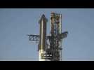 First flight test of Starship, world's biggest rocket, postponed: SpaceX
