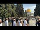 Group of Jewish people tours Jerusalem's al-Aqsa mosque compound