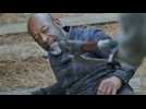 Fear The Walking Dead - Bande annonce 1 - VO