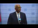 UN peacekeeping 'nearly impossible' without host country consent: Mali mission head