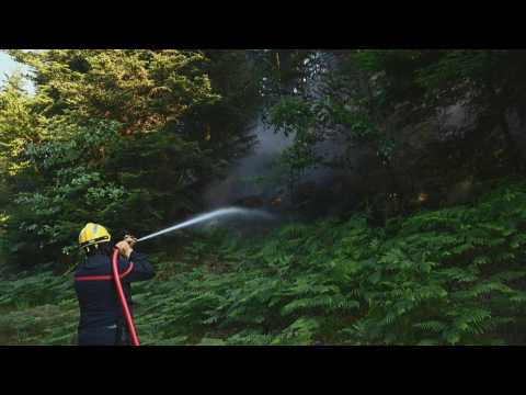 Flames progressing slowly as France's Vosges battles forest fires