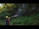 Flames progressing slowly as France's Vosges battles forest fires