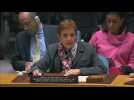 Haiti gang violence expanding at 'alarming rate,' UN warns