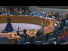 UN Security Council demands Taliban 'swiftly reverse' measures against women