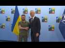 Zelensky and Stoltenberg shake hands at NATO summit in Vilnius
