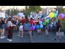Hundreds of Israelis gather in Jerusalem in judicial reform protest