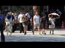 Tokyo streets as authorities issue heat stroke alert